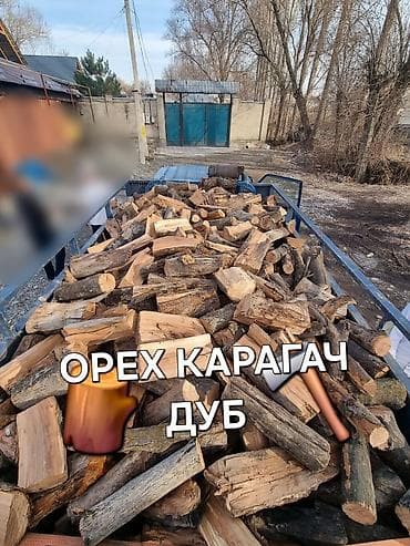 эки этаж крават: Отун Жаңгак, Акылуу жеткирүү — 1