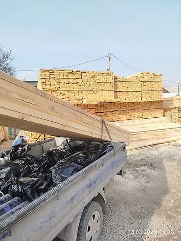 Лес кругляк: Хвоя — 1