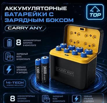 Аккумуляторные батарейки с зарядным боксом Carry Any Зарядный кейс с