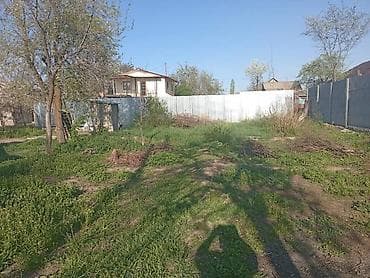 проспект чуй: 5 соток, Красная книга — 3