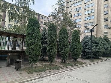 Батирлер: 4 бөлмө, 110 м², Элитка, 7 кабат, Евро оңдоо — 5