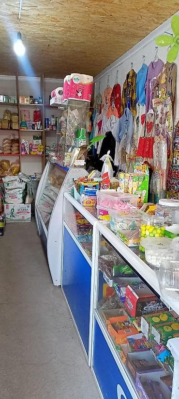 магазин инструментов: Продаётся дом с действующим магазином.находится в селе вознесеновка,ул — 4