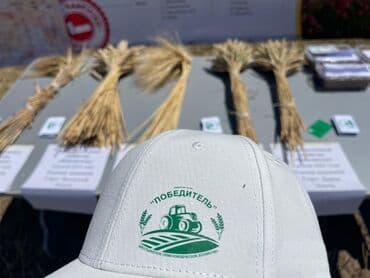 купить саженцы цветов в бишкеке: Коп жылдык эспарцет уругу. Уроончулук чарба "Победитель" Ысыккол обл — 3