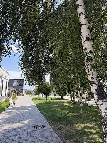 Отдых на Иссык-Куле: Гостевой дом на Иссык-Куле, Атлантис, Сары-Ой, 4 места — 8