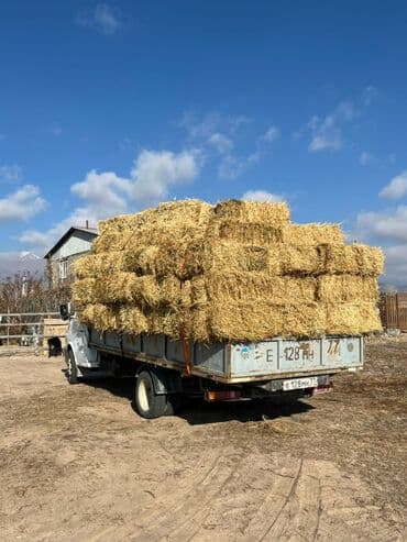 стеллажи для овощей и фруктов: Семена кормовых растений: Клевер, Бесплатная доставка — 2