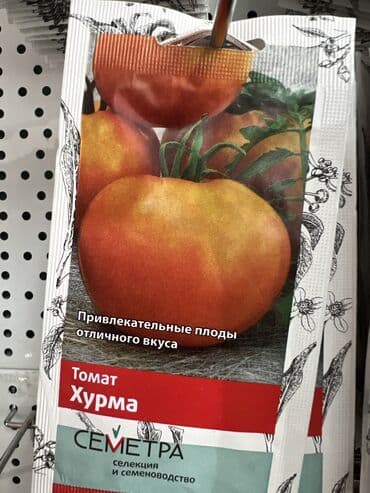продаю овощи: Уруктар жашылчалардын: Капуста, Сабиз, Калемпирлер, Өзү алып кетүү, Акылуу жеткирүү — 9