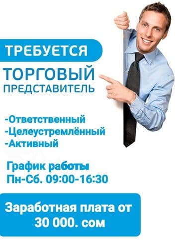 Требуется Торговый агент, График: Шестидневка, Без опыта, Обучение, Полный рабочий день