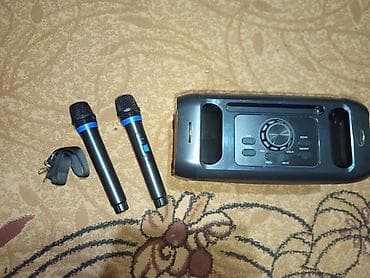iphon 13 pro max: Классного хорошего качества колонка брал в Temu за 5.225 сом в хорошем — 3