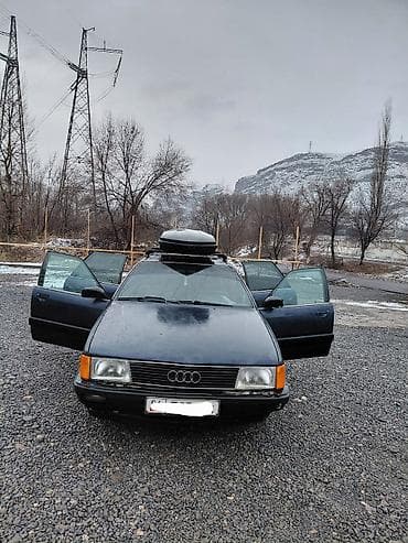 Audi 100: 1989 г., 2.3 л, Механика, Бензин, Универсал