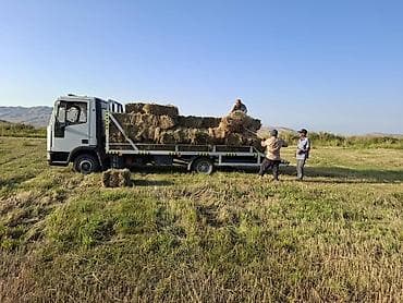 скания 580: Эвакуатор, Iveco, 1998 г., Сдвижная — 8
