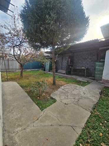 куплю дом г бишкек: Дом, 80 м², 3 комнаты, Агентство недвижимости, Косметический ремонт — 10