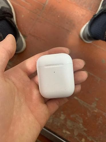 отдам даром попугая: Нашол аирпотцы отдам хозяину пишите в личку (находка оригинальное) — 4