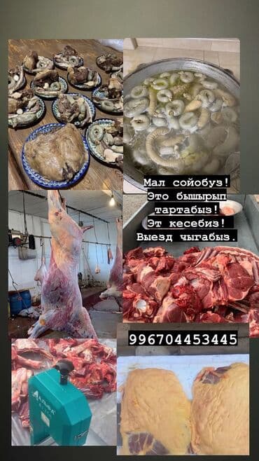 повар на вьезд: Выездные банкеты | Эт башчы, Касапчы — 5