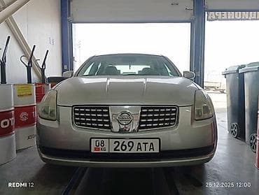 Nissan Maxima: 2004 г., 3.5 л, Автомат, Газ, Седан