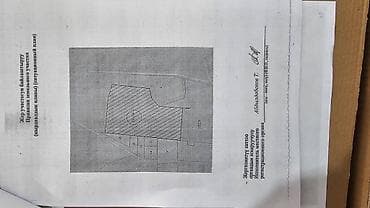 участок башбулак: 350 соток, Для бизнеса, Красная книга — 4