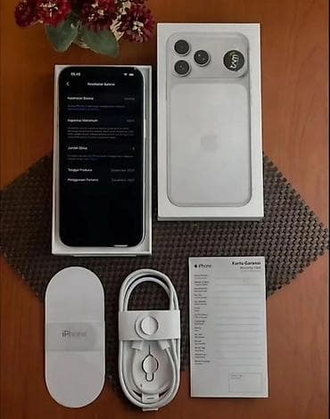 nokia asha: IPhone 17 Pro Max, Новый, 1 ТБ, Оранжевый, Кабель, 100 % — 5