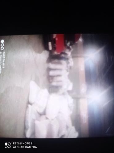 ищу груз москва бишкек: Грузоперевозки Бишкек — Москва - Принимаем ТНП-грузы и передачи из — 2