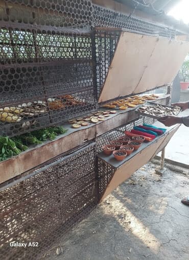 сухой корм для кошек оптом: Продаю | Кролик самец, Крольчиха (самка), Крольчата — 1