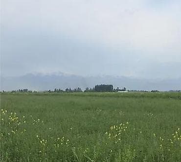 загородный дом: 13 соток, Для бизнеса, Тех паспорт — 1