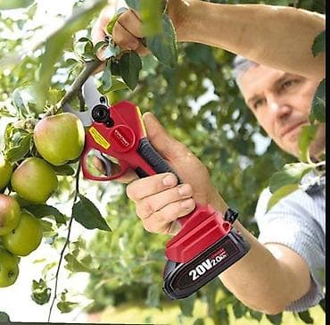 Бакча эмереги: Кол менен кескичтер, Акылуу жеткирүү, Акысыз жеткирүү, Өзү алып кетүү — 3