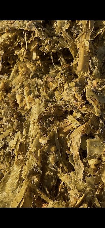 уй сатылат бишкек 2022: Кукурузный силос в индивидуальных рулонах Адрес Город Кемин село Жол — 9