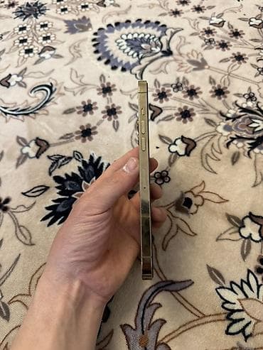 планшеты apple: IPhone 12 Pro Max, 256 ГБ, Серебристый — 6