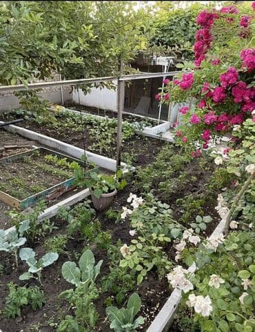 дордой моторс дом: Үй, 130 кв. м, 7 бөлмө, Кыймылсыз мүлк агенттиги, Евро оңдоо — 8