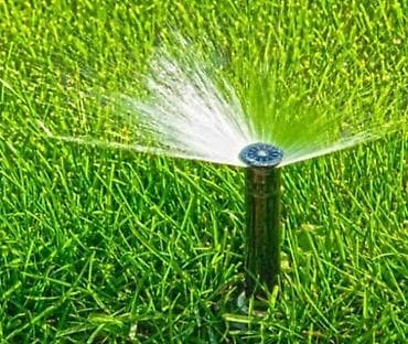 Газон: Газон! Посев газона и Автополив! Сеем газон! Мы полностью — 4