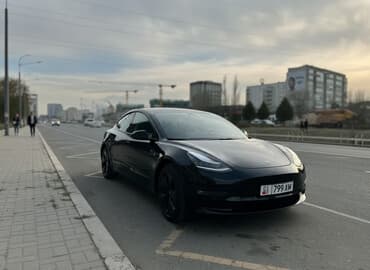 Tesla: Tesla Model 3: 2019 г., Электромобиль, Седан — 1