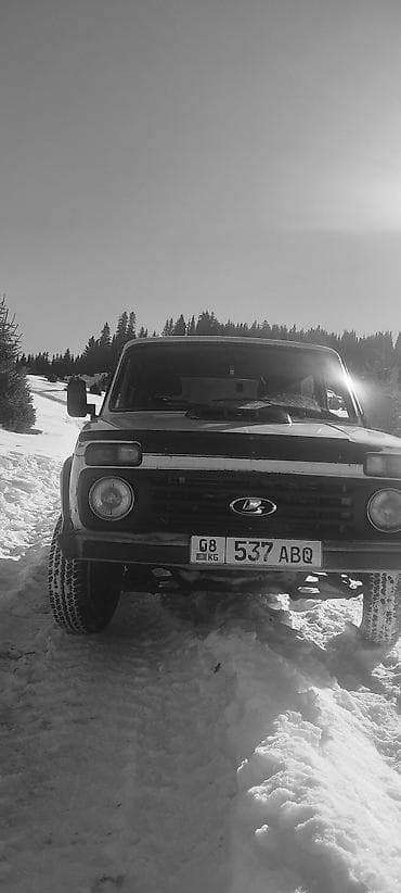 фара деу нубира: ВАЗ (ЛАДА) 2121 (4x4): 2003 г., 1.7 л, Механика, Бензин, Внедорожник — 4