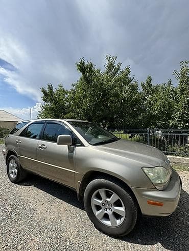 daewoo magnys: Lexus RX: 2002 г., Автомат, Бензин, Кроссовер — 2