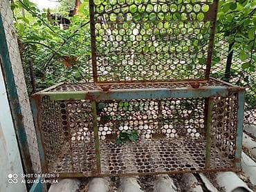 хомяк с клеткой: Комплект для хозяйства: уличный вольер/клетка для животных — 2