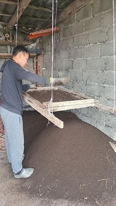 тошок кыргызский: Удобрение Гумус — 2
