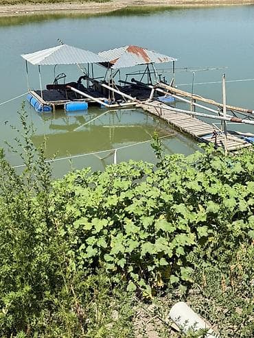 🐟 Продаётся действующее рыбное хозяйство с развитой инфраструктурой 📍