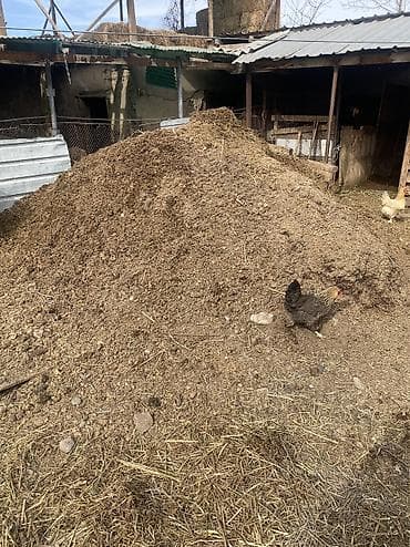 малдын башы: Тонна менен, Өзү алып кетүү, Камаз — 1