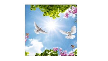 требуются монтажники натяжных потолков: Натяжной потолок 3D потолки, Глянцевое, Матовое Монтаж, Гарантия, Демонтаж — 3