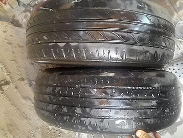 205 65 15 с: 1 шт 500с
На запаску или докатку 
летняя шина 195/65 R15 91V — 2