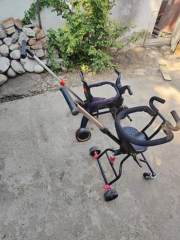 жугли арзан: Детский трехколесный велосипед-каталка INING BABY с родительской — 6