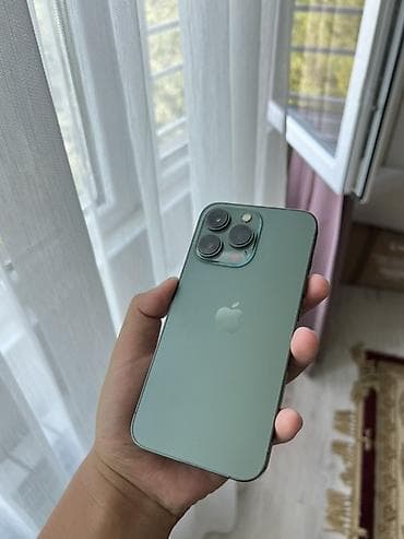 12 mini: IPhone 13 Pro, Зеленый — 1