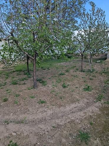 дом участок: 11 соток, Красная книга, Тех паспорт — 7