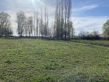город бишкек село ленинское продажа участков: 30 соток, Для бизнеса, Красная книга — 4