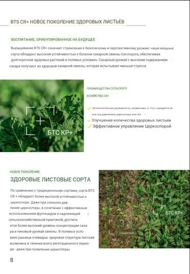 купить кукуруза: Семена овощей: Свекла, Самовывоз, Бесплатная доставка, Платная доставка — 6