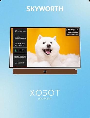 hyperx quadcast s: Портативный телевизор Skyworth 2K FHD 1080p с Google TV - Экран — 4