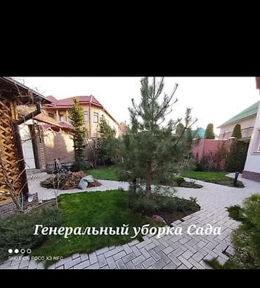 тазалит: Уборка территории — 3