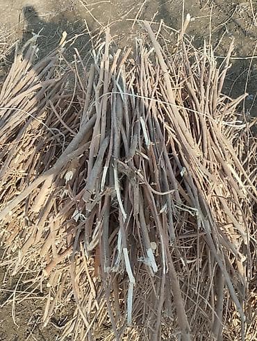 угль: Дрова — 6