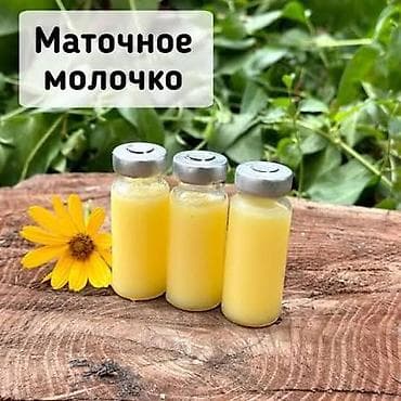 Маточное молочко в стеклянных флаконах собрали 2 дня назад 2026 год - at lalafo.kg Маточное молочко в стеклянных флаконах собрали 2 дня назад 2026 год -