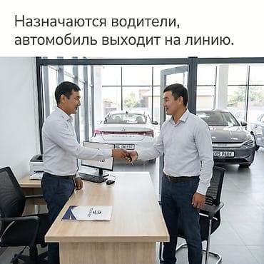 компания: Управление автомобилями для получения дохода от DOS INVEST (Бишкек) — 4