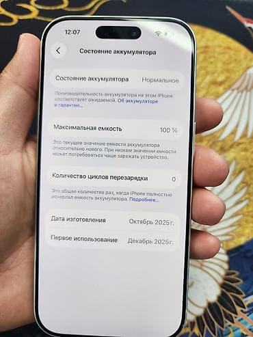 iphome xs: IPhone 17 Pro, Новый, 256 ГБ, Серебристый, Кабель, 100 % — 4