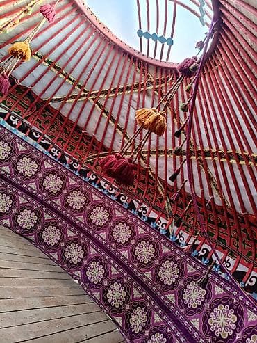 Юрта кыргыз Боз уй сатылат 6 канат 85 баш абалы жакшы баасы 250 000мин — 4