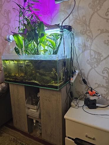 Аквариумный комплект с растениями и оборудованием - Стеклянный